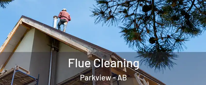  Flue Cleaning Parkview - AB