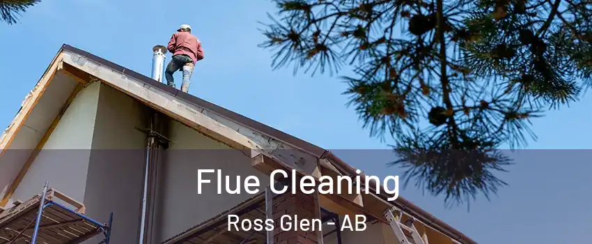  Flue Cleaning Ross Glen - AB