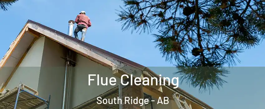  Flue Cleaning South Ridge - AB