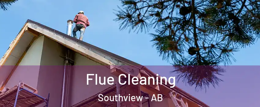  Flue Cleaning Southview - AB