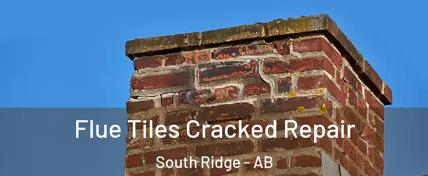  Flue Tiles Cracked Repair South Ridge - AB