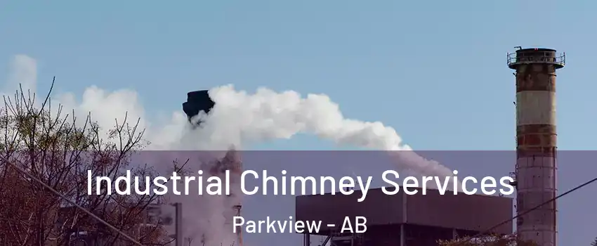  Industrial Chimney Services Parkview - AB
