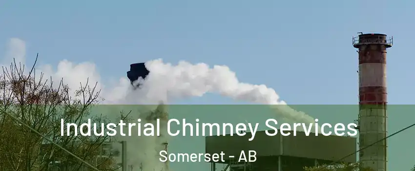  Industrial Chimney Services Somerset - AB