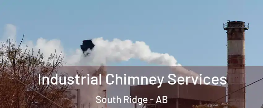  Industrial Chimney Services South Ridge - AB