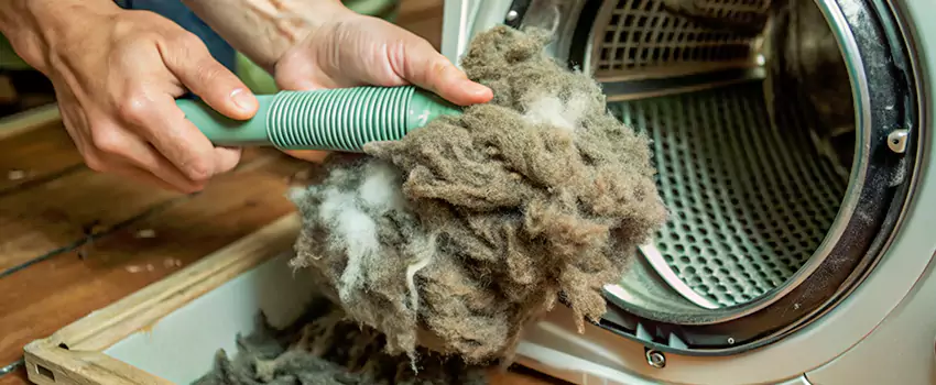 Best Dryer Lint Removal Company in Medicine Hat, Alberta