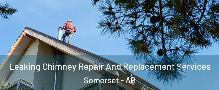  Leaking Chimney Repair And Replacement Services Somerset - AB