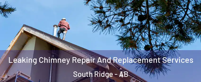  Leaking Chimney Repair And Replacement Services South Ridge - AB