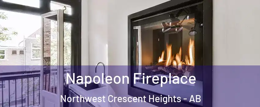  Napoleon Fireplace Northwest Crescent Heights - AB