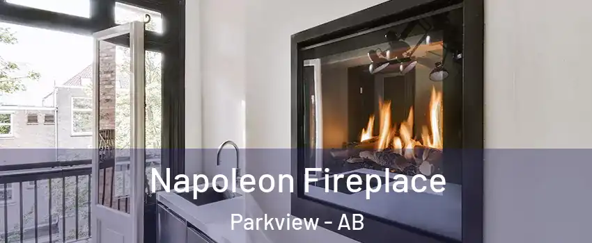  Napoleon Fireplace Parkview - AB