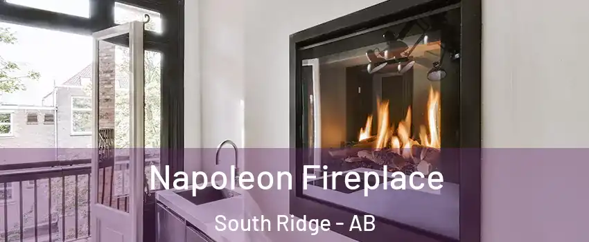 Napoleon Fireplace South Ridge - AB