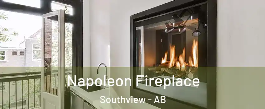  Napoleon Fireplace Southview - AB