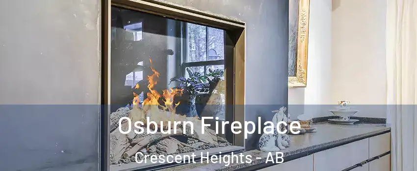  Osburn Fireplace Crescent Heights - AB