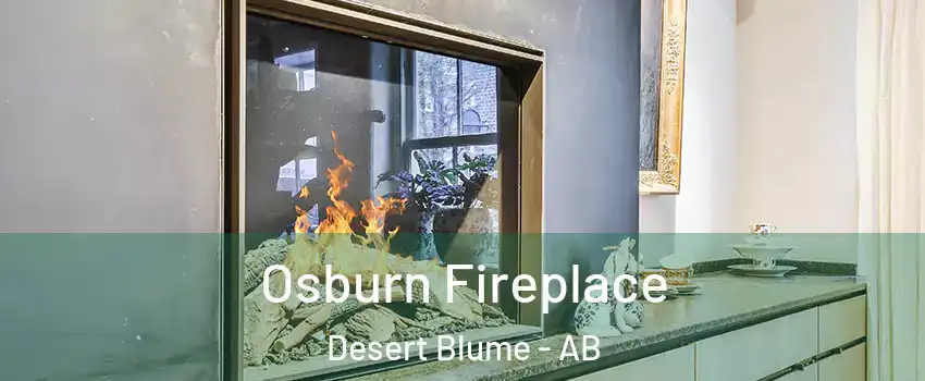  Osburn Fireplace Desert Blume - AB