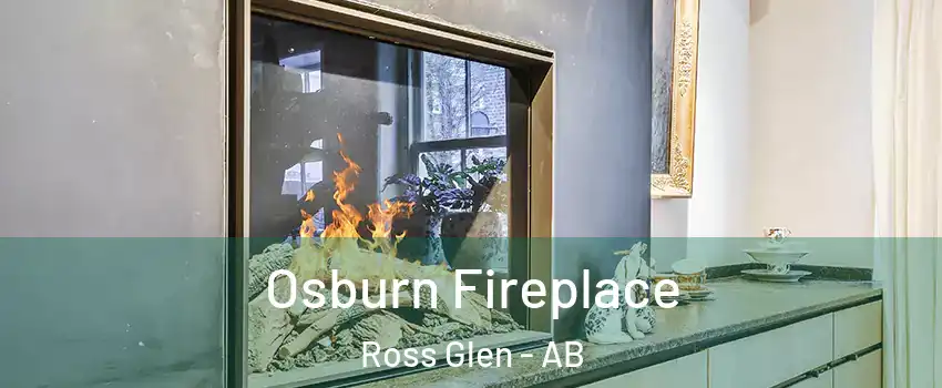  Osburn Fireplace Ross Glen - AB