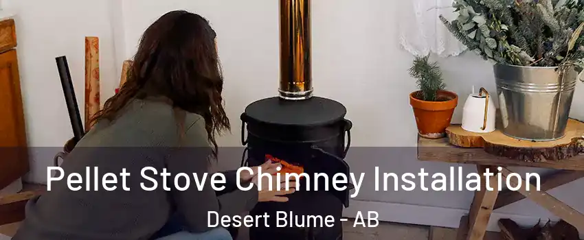  Pellet Stove Chimney Installation Desert Blume - AB