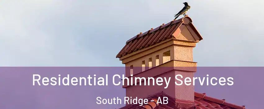  Residential Chimney Services South Ridge - AB