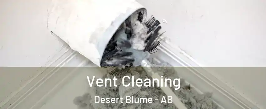  Vent Cleaning Desert Blume - AB