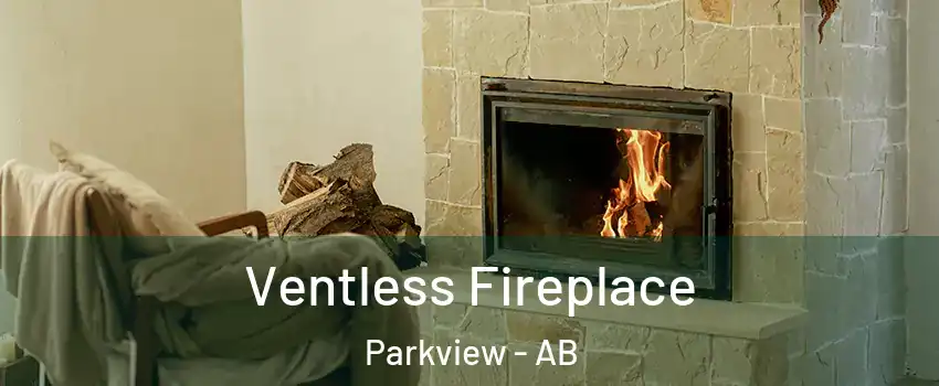  Ventless Fireplace Parkview - AB