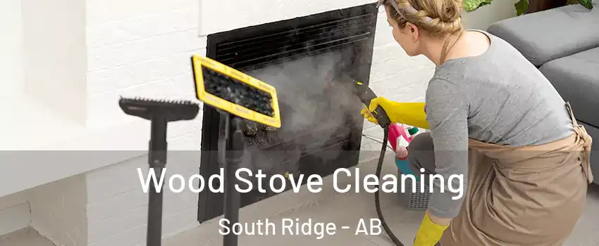  Wood Stove Cleaning South Ridge - AB
